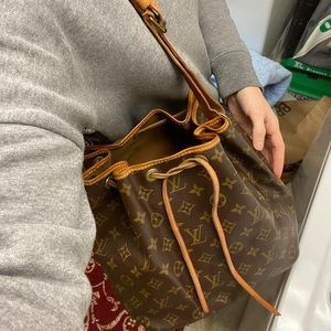 Louis Vuitton Petit Noe with organizer